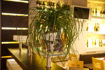 immagine2