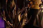 immagine2
