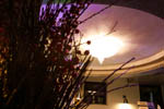 immagine2