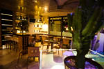 immagine2
